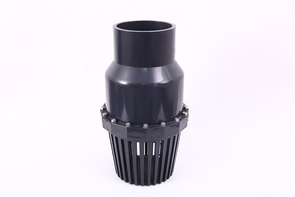 博鳌镇翻板式底阀